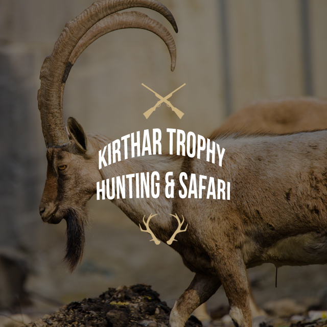 Kirthar Trophy Hunting And Safari
